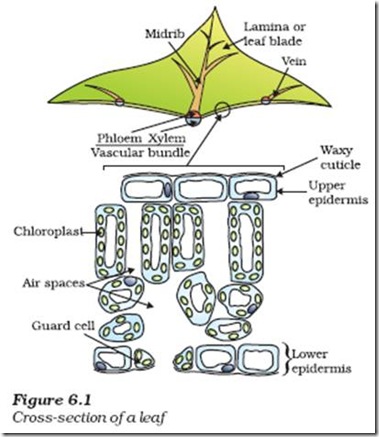 clip_image004
