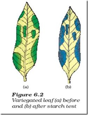 clip_image006